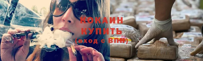 дарнет шоп  Бабаево  Cocaine FishScale 